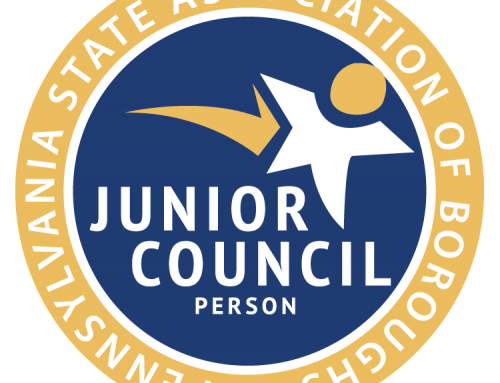 Junior Borough Council Person